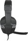 Speedlink headset Versico, black/grey (SL-870001-BKGY-01) cena un informācija | Austiņas | 220.lv