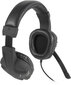 Speedlink headset Versico, black/grey (SL-870001-BKGY-01) cena un informācija | Austiņas | 220.lv