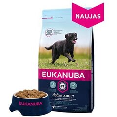 EUKANUBA sausā barība ar svaigu vistu pieaugušiem lielu šķirņu suņiem 3 kg цена и информация | Сухой корм для собак | 220.lv