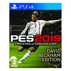 Sony PS4 PES 2019 Beckham Ed. цена и информация | Компьютерные игры | 220.lv
