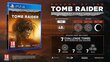 Spēle priekš PlayStation 4, Shadow of the Tomb Raider Croft Edition цена и информация | Datorspēles | 220.lv