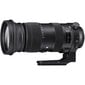 Sigma 60-600mm f/4.5-6.3 DG OS HSM Sports lens for Nikon cena un informācija | Objektīvi | 220.lv