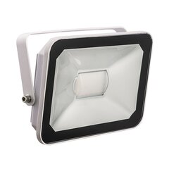 LED prožektors ārtelpām GR-ECO-FL-10 W, balts cena un informācija | Āra apgaismojums | 220.lv