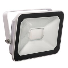 LED prožektors ārtelpām GR-FL-20 W, pelēks цена и информация | Уличное освещение | 220.lv