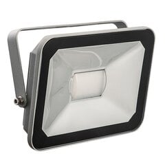 LED prožektors ārtelpām GR-FL-20 W, pelēks цена и информация | Уличное освещение | 220.lv