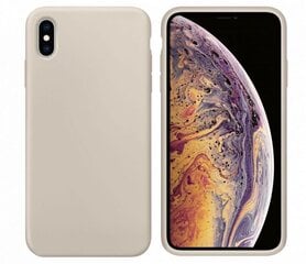 Aizmugurējais vāciņš Evelatus    Apple    iPhone 11 Pro Soft Case with bottom    Stone cena un informācija | Telefonu vāciņi, maciņi | 220.lv