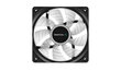 Deepcool DP-FLED-RF120-WH цена и информация | Datora ventilatori | 220.lv