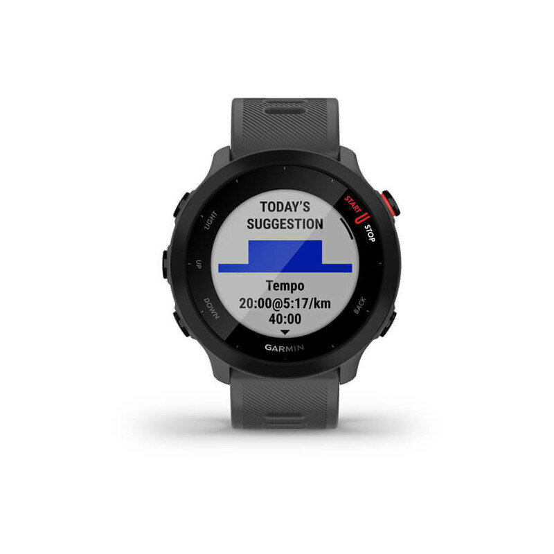 Garmin Forerunner 55 GPS, monterra grey cena un informācija | Viedpulksteņi (smartwatch) | 220.lv