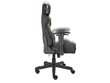 Genesis Gaming chair Nitro 560, NFG-1532, Brown цена и информация | Biroja krēsli | 220.lv