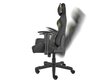 Genesis Gaming chair Nitro 560, NFG-1532, Brown цена и информация | Biroja krēsli | 220.lv