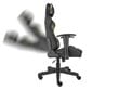 Genesis Gaming chair Nitro 560, NFG-1532, Brown цена и информация | Biroja krēsli | 220.lv