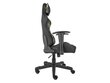 Genesis Gaming chair Nitro 560, NFG-1532, Brown cena un informācija | Biroja krēsli | 220.lv