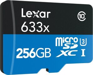 Atmiņas karte 256GB microSDXC cena un informācija | Atmiņas kartes mobilajiem telefoniem | 220.lv