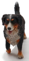 Фигурка собаки - Бернская горная собака Collecta, 7x10 см цена и информация | Конструктор автомобилей игрушки для мальчиков | 220.lv