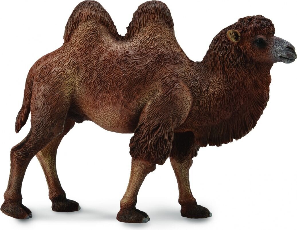 Collecta Divkupru kamielis L, 88807 cena un informācija | Rotaļlietas zēniem | 220.lv