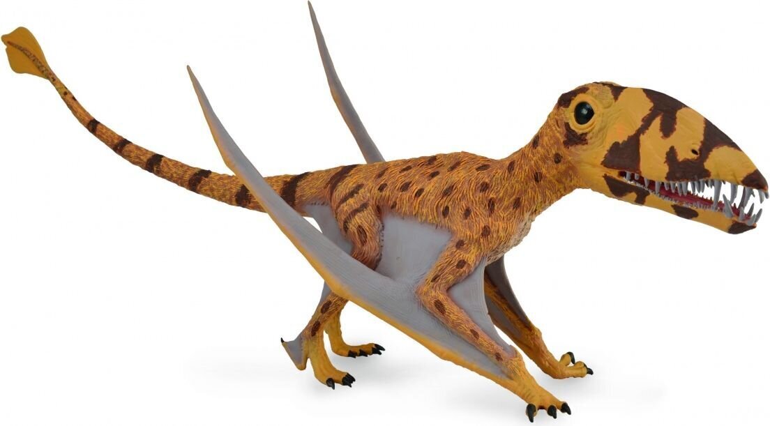 Collecta Dimorphodon ar kustīgu žokli - Deluxe , 88798 цена и информация | Rotaļlietas zēniem | 220.lv