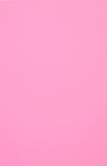 Aizsargplēves Evelatus       Universal Color Shinning Film for Screen Cutter    Light Pink cena un informācija | Ekrāna aizsargstikli | 220.lv