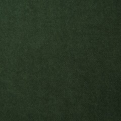 Aizkars Ada, zaļš, 140 x 250 cm cena un informācija | Aizkari | 220.lv