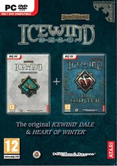 PC Icewind Dale with Heart of Winter Expansion цена и информация | Игра SWITCH NINTENDO Монополия | 220.lv