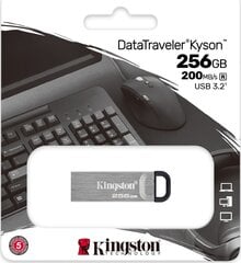 Флеш-накопитель Kingston DTKN/256GB цена и информация | USB накопители | 220.lv
