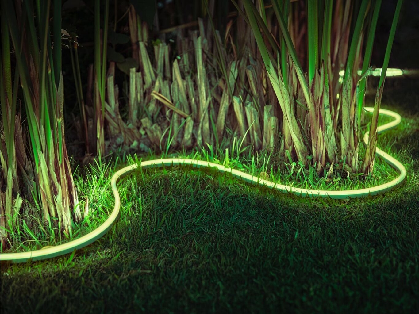 Philips Hue Lightstrip Outdoor 5meter cena un informācija | LED lentes | 220.lv