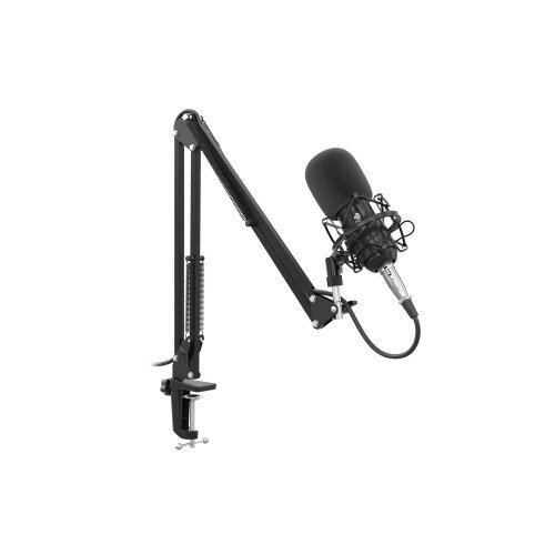 Genesis Gaming Microphone Radium 300 Bla cena un informācija | Mikrofoni | 220.lv