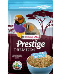 VERSELE-LAGA полнорационный корм для птиц PREM.PRESTIGE TROPICAL FINCHES 800 гр цена и информация | Корм для птиц | 220.lv