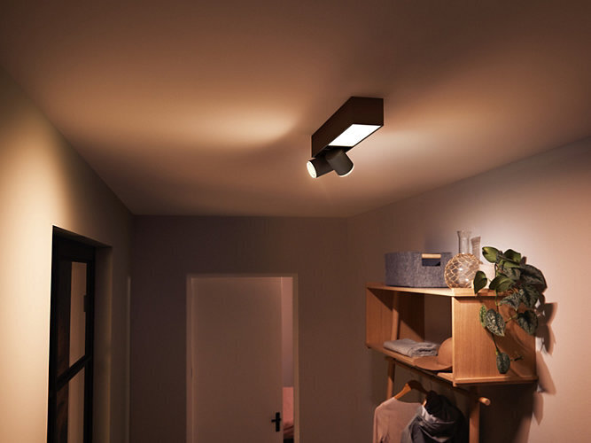 Philips Hue - Centris 2L-Spot Ceiling light - White & Color Ambiance цена и информация | Griestu lampas | 220.lv