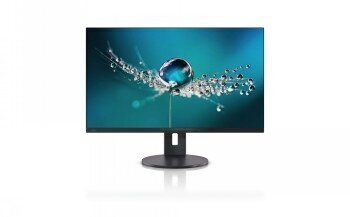 Fujitsu S26361-K1696-V160 cena un informācija | Monitori | 220.lv