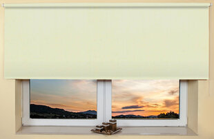 Настенный/потолочный ролет 130x170 см, 2073 Зеленый цена и информация | Рулонные шторы | 220.lv