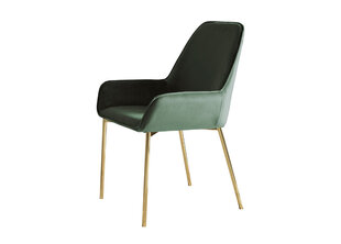 Krēslu komplekts, 2 gab., zaļā krāsā cena un informācija | Virtuves un ēdamistabas krēsli | 220.lv