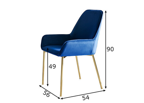 Krēslu komplekts, 2 gab., zilā krāsā cena un informācija | Virtuves un ēdamistabas krēsli | 220.lv