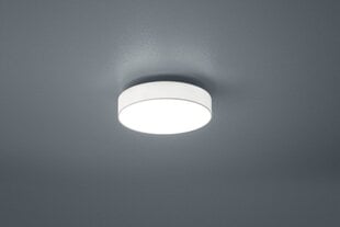 LED griestu lampa Lugano,30 cm, baltā krāsā 920021930 цена и информация | Потолочные светильники | 220.lv