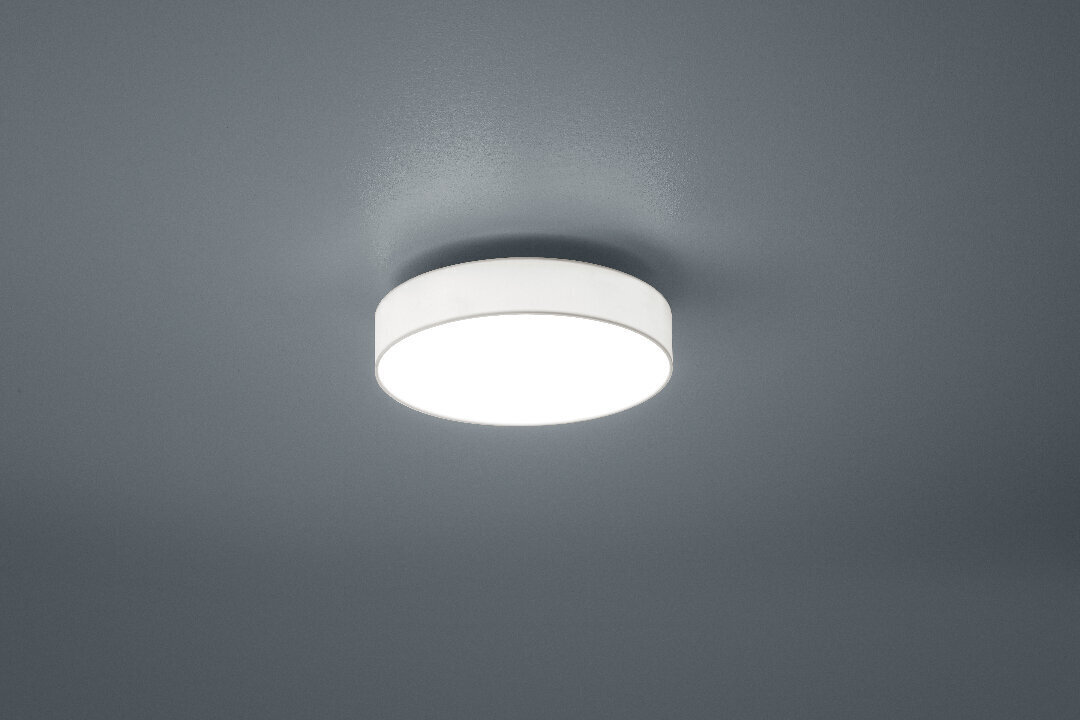 LED griestu lampa Lugano,30 cm, baltā krāsā 920021930 cena un informācija | Griestu lampas | 220.lv