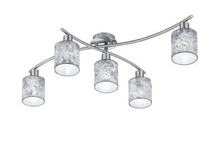 Griestu lampa Garda, 5xE14, sudrabotā krāsā 920021949 цена и информация | Потолочные светильники | 220.lv