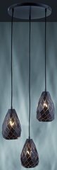Подвесной светильник Trio Onyx цена и информация | Настенный/подвесной светильник Eye Spot 11 BL, чёрный | 220.lv