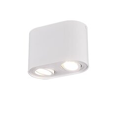 Griestu lampa Cookie, divdaļīga, 2xGU10, matētā baltā krāsā 920022003 цена и информация | Потолочные светильники | 220.lv