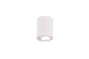 Griestu lampa Cookie, GU10, matētā baltā krāsā 920022001 цена и информация | Потолочные светильники | 220.lv