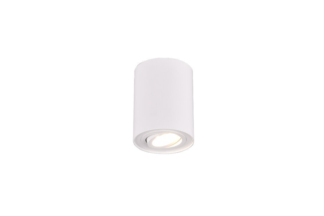 Griestu lampa Cookie, GU10, matētā baltā krāsā 920022001 цена и информация | Griestu lampas | 220.lv