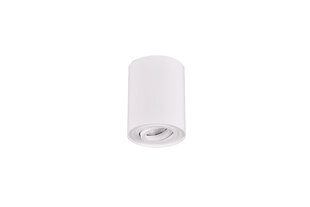 Griestu lampa Cookie, GU10, matētā baltā krāsā 920022001 цена и информация | Потолочные светильники | 220.lv