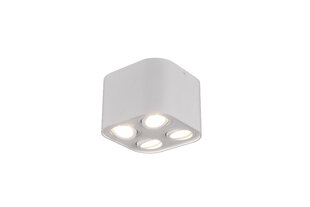 Griestu lampa Cookie, četrdaļīga, 4xGU10, matētā baltā krāsā 920022005 цена и информация | Потолочные светильники | 220.lv