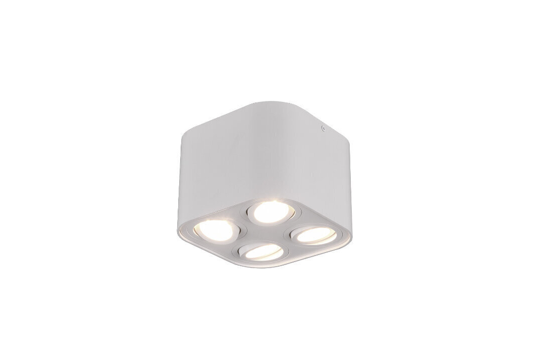 Griestu lampa Cookie, četrdaļīga, 4xGU10, matētā baltā krāsā 920022005 cena un informācija | Griestu lampas | 220.lv