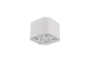 Griestu lampa Cookie, četrdaļīga, 4xGU10, matētā baltā krāsā 920022005 цена и информация | Потолочные светильники | 220.lv