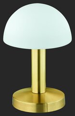 Galda lampa Fynn, 21 cm, 1xE14, misiņš cena un informācija | Galda lampas | 220.lv