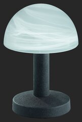 Galda lampa Fynn, 21 cm, 1xE14, rustikālā stilā цена и информация | Настольные лампы | 220.lv