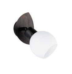 LED punktveida gaismeklis Freddy, viendaļīgs, E14, rustikālā stilā цена и информация | Настенные светильники | 220.lv