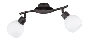 LED punktveida gaismeklis Freddy, divdaļīgs, E14, rustikālā stilā cena un informācija | Griestu lampas | 220.lv