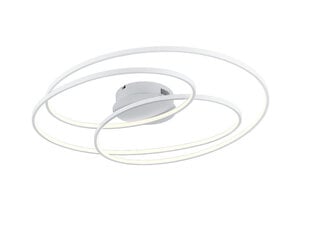 LED griestu lampa Gale, 80 cm, matētā baltā krāsā 920022177 цена и информация | Потолочные светильники | 220.lv