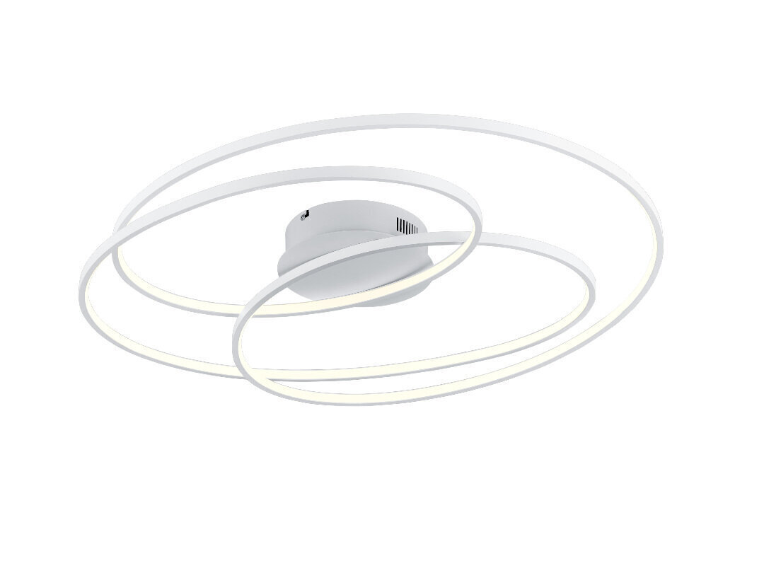 LED griestu lampa Gale, 80 cm, matētā baltā krāsā 920022177 cena un informācija | Griestu lampas | 220.lv