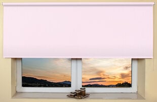 Настенный/потолочный ролет 200x170 см, 101 Розовый цена и информация | Рулонные шторы | 220.lv